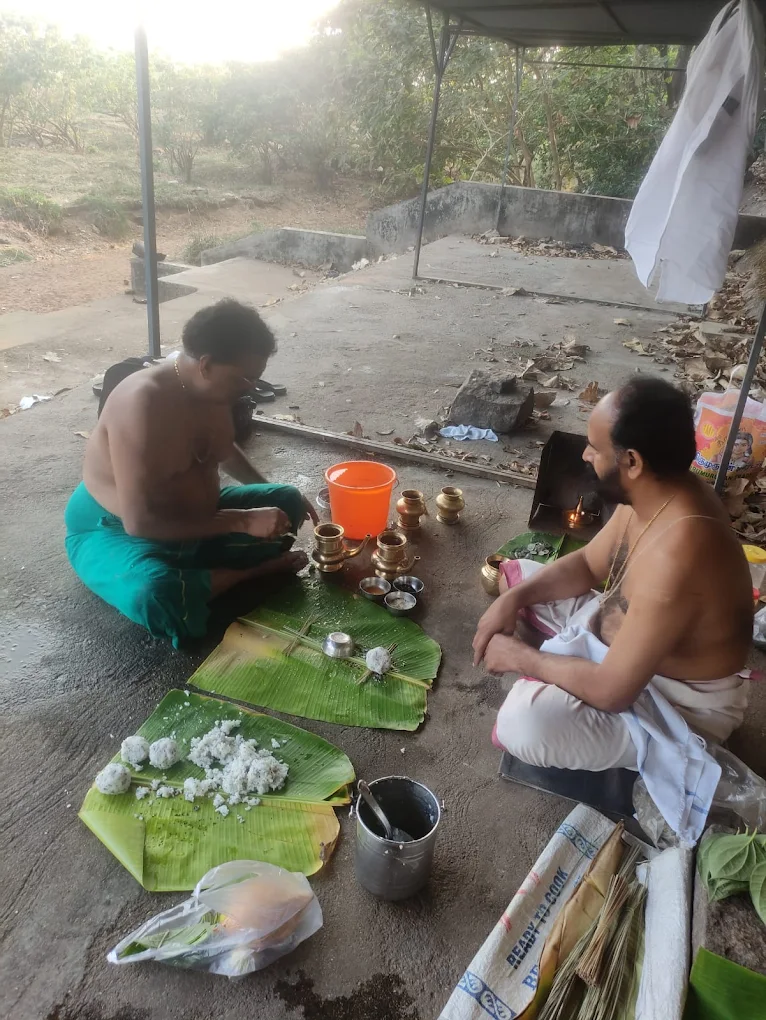 Vedic Rituals Karmi